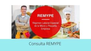 Consulta REMYPE