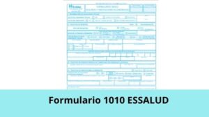 Lee más sobre el artículo Formulario 1010 Essalud