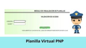 Lee más sobre el artículo Planilla Virtual PNP