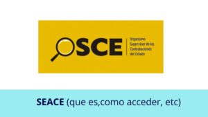 Lee más sobre el artículo ¿Qué es el Seace y cómo acceder?