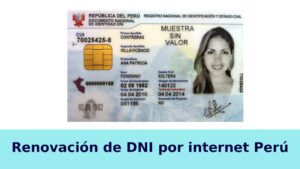 Lee más sobre el artículo Renovación del DNI por Internet en Perú