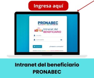 Lee más sobre el artículo Intranet PRONABEC